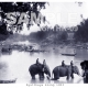 Ayuttaya Market day on the river 1903