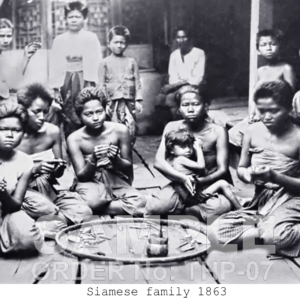 Siamese family