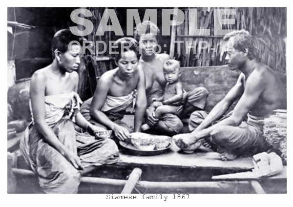 Siamese family 1867
