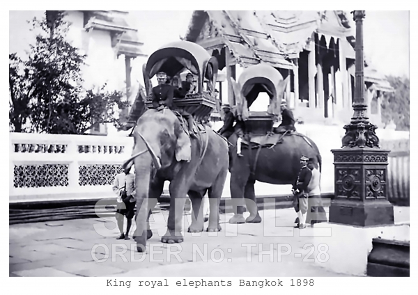 Kings royal elephants