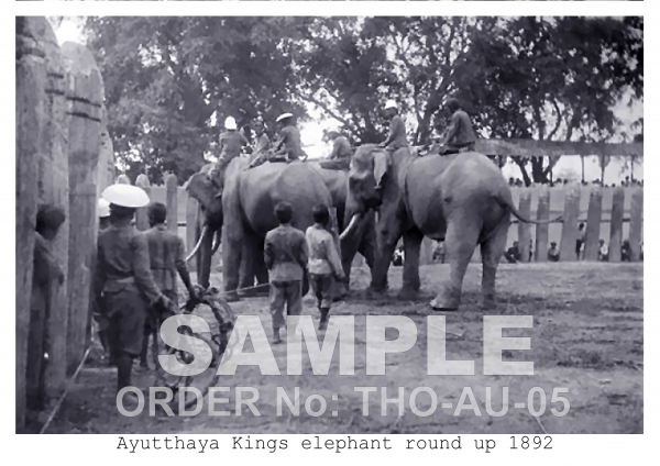 Kings round up Ayutthaya 1898
