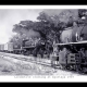 Thailand Railway Steam Locomotives